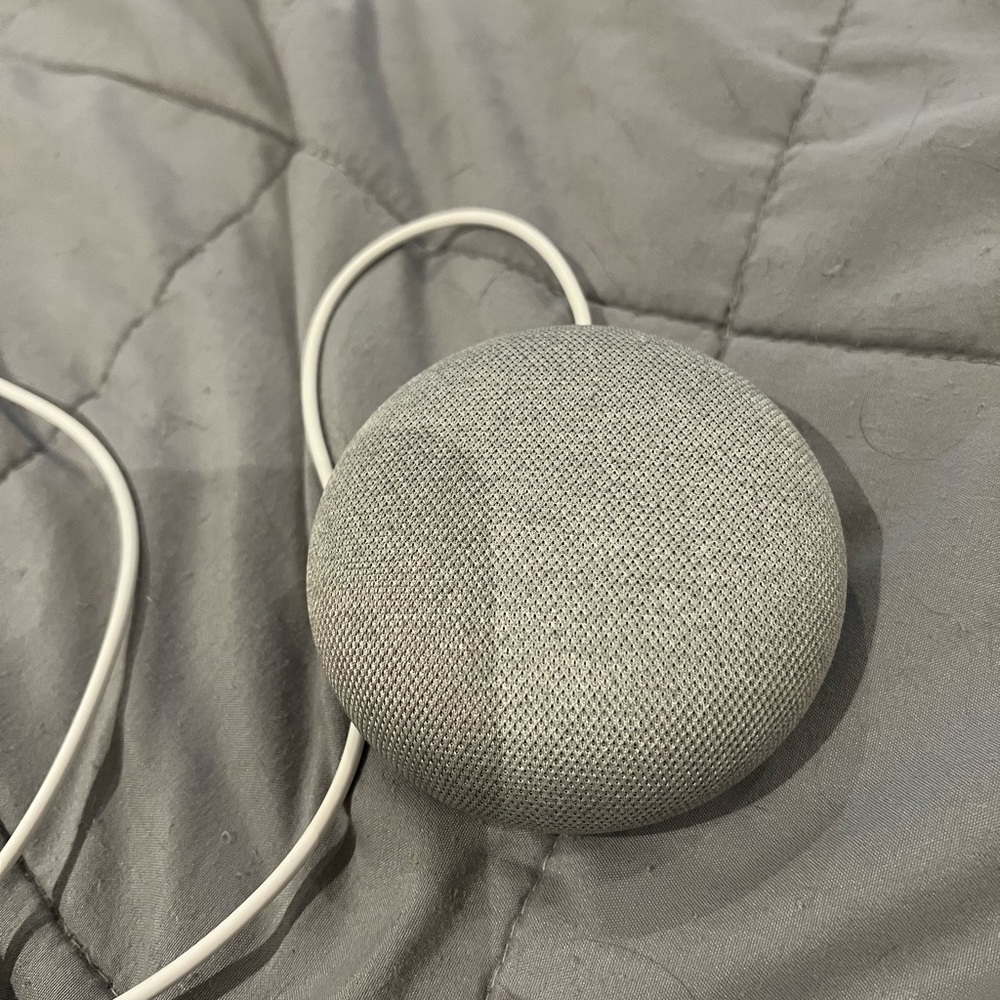 GOOGLE HOME MINI
